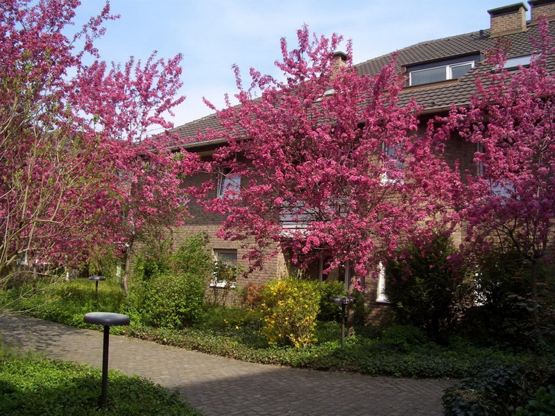 1,0-Zimmer-Wohnung in Bonn Nordstadt - Photo 2