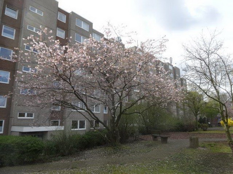 1-Zimmer-Wohnung in Hamburg Borgfelde - Photo 3