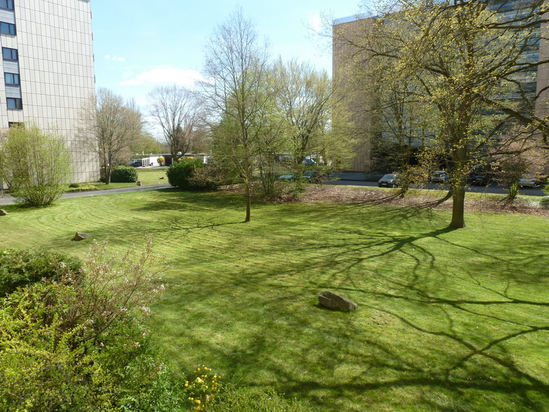 1-Zimmer-Wohnung in Bonn Heiderhof (5326_99) - Photo 5