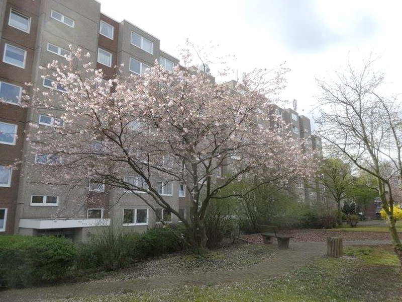2,0-Zimmer-Wohnung in Hamburg Borgfelde - Photo 2