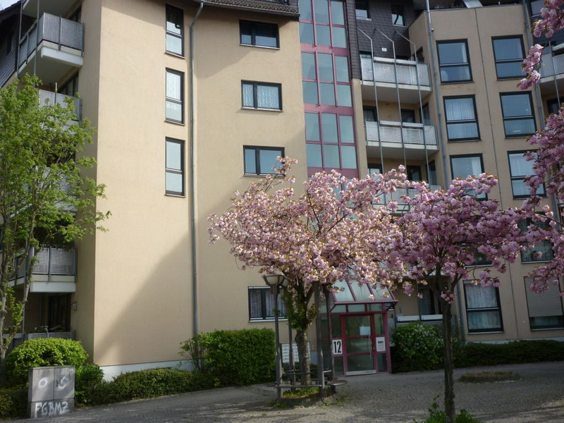 modernisierte 2,0-Zimmer-Wohnung mit Balkon in Mainz Hechtsheim - Foto 4
