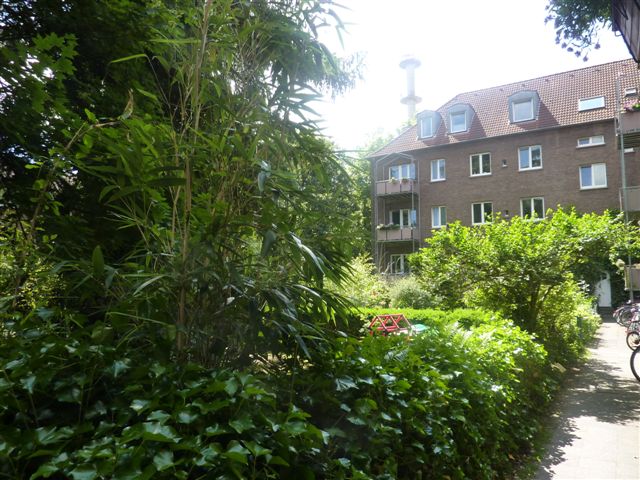 5,0-Zimmer-Wohnung in Münster Herz-Jesu - Photo 4