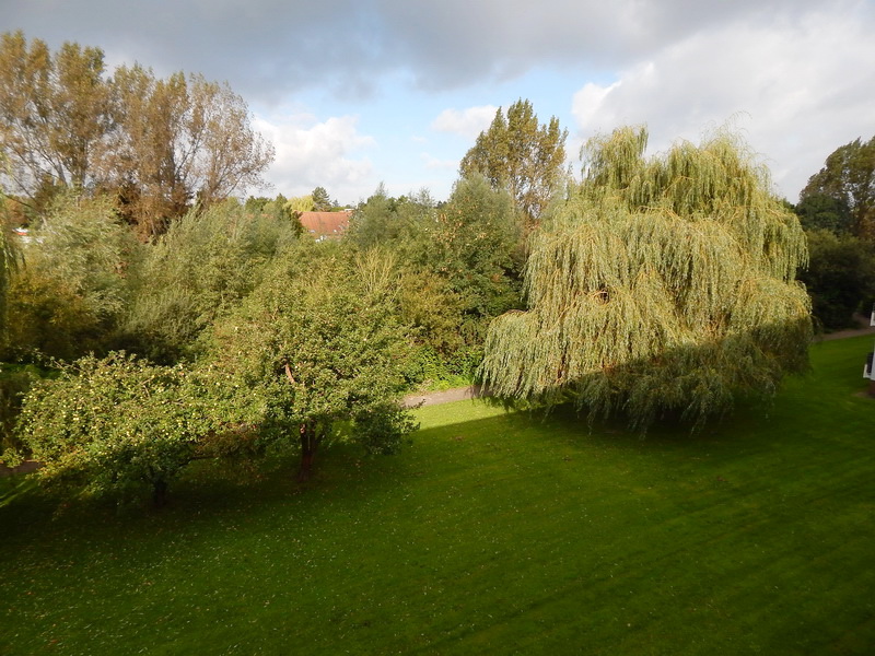 2,0-Zimmer-Wohnung in Hannover Anderten - Foto 3