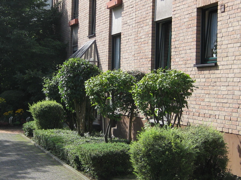 2-Zimmer-Wohnung in Hilden - Foto 2