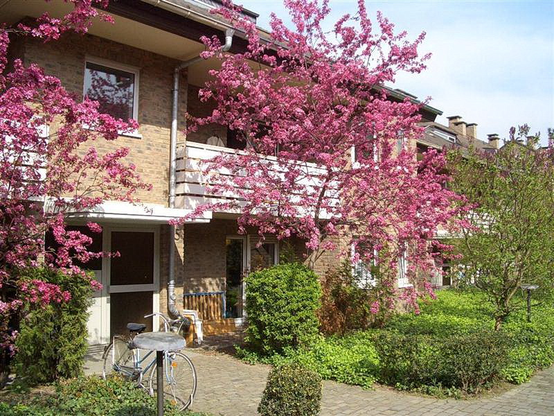 1,0-Zimmer-Wohnung in Bonn Nordstadt - Photo 2